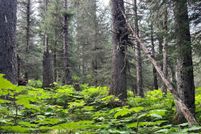 Property for sale in Kenai Peninsula Borough, Alaska