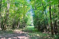 Property for sale in Sumter County, Alabama