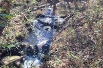 Property for sale in Tuscaloosa County, Alabama