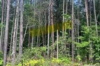 Property for sale in Tuscaloosa County, Alabama