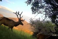 Undeveloped Land for sale in Custer County, Colorado