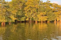 Lakefront Property for sale in Sabine Parish, Louisiana