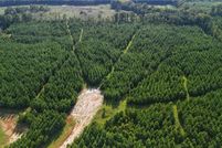 Property for sale in Tallapoosa County, Alabama