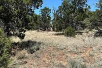 Property for sale in Catron County, New Mexico