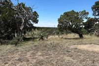 Undeveloped Land for sale in Catron County, New Mexico