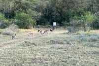 Property for sale in Karnes County, Texas