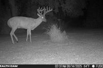 Undeveloped Land for sale in Dodge County, Minnesota