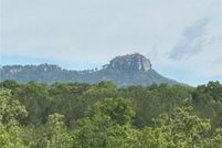 Undeveloped Land for sale in Surry County, North Carolina