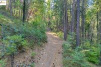 Property for sale in Tuolumne County, California
