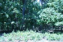 Undeveloped Land for sale in Camden County, Missouri
