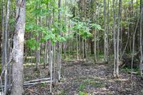 Property for sale in Emmet County, Michigan