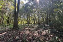 Undeveloped Land for sale in Thomas County, Georgia