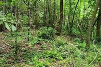 Undeveloped Land for sale in Polk County, Tennessee