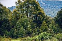 Undeveloped Land for sale in Newton County, Arkansas