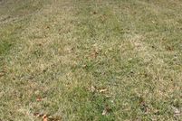 Property for sale in Lee County, Iowa