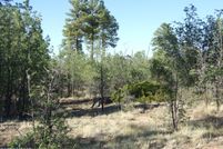 Property for sale in Navajo County, Arizona