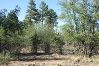 Property for sale in Navajo County, Arizona