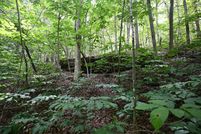 Property for sale in Camden County, Missouri