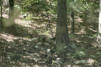 Property for sale in Sharp County, Arkansas