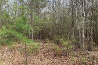 Property for sale in Bienville Parish, Louisiana