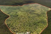 Property for sale in Levy County, Florida