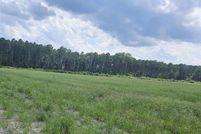 Undeveloped Land for sale in Dillon County, South Carolina