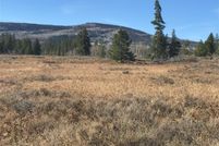 Undeveloped Land for sale in Routt County, Colorado
