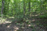 Property for sale in Wayne County, West Virginia