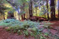 Property for sale in Del Norte County, California