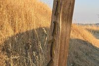 Property for sale in Madera County, California