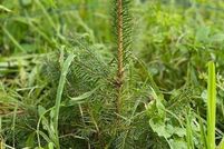 Property for sale in Rensselaer County, New York