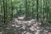 Undeveloped Land for sale in Fayette County, Alabama