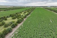 Property for sale in Lyman County, South Dakota