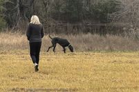 Property for sale in Hill County, Texas