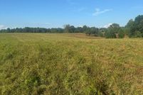 Undeveloped Land for sale in Henry County, Tennessee