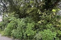 Property for sale in Richmond City County, Virginia