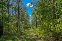 Property for sale in Wilcox County, Alabama