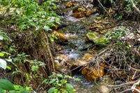 Property for sale in Buncombe County, North Carolina