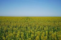 Property for sale in Kiowa County, Colorado