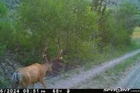 Property for sale in Deer Lodge County, Montana