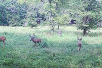 Property for sale in Carter County, Missouri