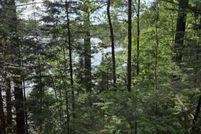 Undeveloped Land for sale in Iron County, Michigan