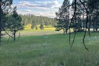 Property for sale in Custer County, South Dakota