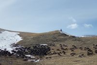 Property for sale in Park County, Montana