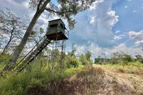 Undeveloped Land for sale in Hinds County, Mississippi