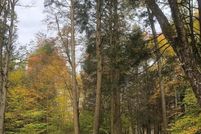 Undeveloped Land for sale in Sullivan County, New York