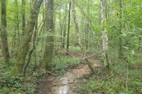 Property for sale in Hale County, Alabama