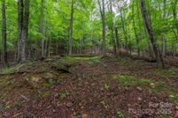 Undeveloped Land for sale in Yancey County, North Carolina