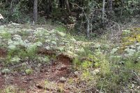 Property for sale in Calhoun County, Alabama