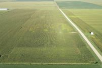 Undeveloped Land for sale in Sac County, Iowa